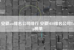 安徽seo排名公司排行 安徽SEO排名公司Top榜单