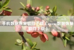 手机数据恢复软件下载（easeus数据恢复软件下载）