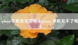 iphone手机充不了电（iphone 手机充不了电）