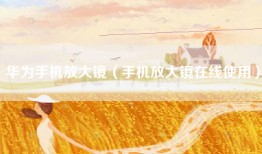 华为手机放大镜（手机放大镜在线使用）