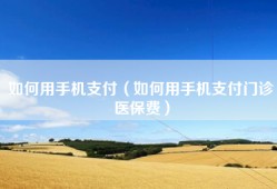 如何用手机支付（如何用手机支付门诊医保费）