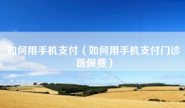 如何用手机支付（如何用手机支付门诊医保费）