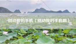 别动我的手机（别动我的手机啊）