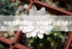 刘强东呼吁背后：破局骑手五险一金，需多方合力 “撑伞”
