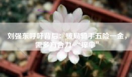 刘强东呼吁背后：破局骑手五险一金，需多方合力 “撑伞”