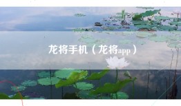 龙将手机（龙将app）