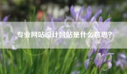 专业网站设计网站是什么意思？
