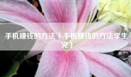 手机赚钱的方法（手机赚钱的方法学生党）