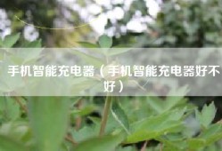 手机智能充电器（手机智能充电器好不好）