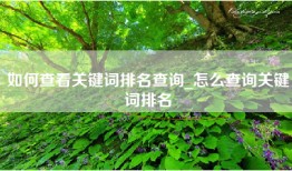 如何查看关键词排名查询_怎么查询关键词排名