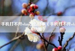 手机打不开wlan怎么回事（手机打不开wlan功能）