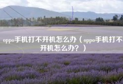 oppo手机打不开机怎么办（oppo手机打不开机怎么办？）