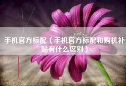 手机官方标配（手机官方标配和购机补贴有什么区别）