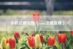 手机注册流程（ozon注册流程）