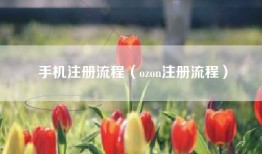 手机注册流程（ozon注册流程）