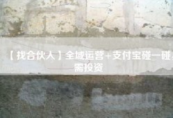 【找合伙人】全域运营+支付宝碰一碰，需投资