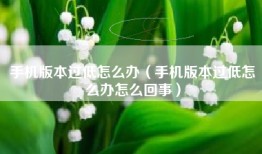 手机版本过低怎么办（手机版本过低怎么办怎么回事）