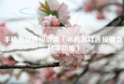 手机怎样连接键盘（手机怎样连接键盘打字功能）
