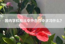 国内学校应从中外合作中学习什么？