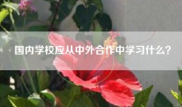 国内学校应从中外合作中学习什么？