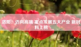 洛阳：迈向高端 重点发展五大产业 新材料上榜
