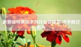 赵普谈导演饺子为什么会成功 才华胜过名气