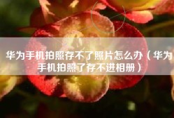华为手机拍照存不了照片怎么办（华为手机拍照了存不进相册）