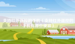 支持红外遥控的手机（支持红外遥控的手机有哪些便宜）