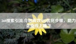 360搜索引流,介绍高效SEO优化步骤，助力企业线上腾飞