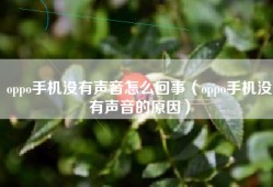 oppo手机没有声音怎么回事（oppo手机没有声音的原因）