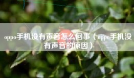 oppo手机没有声音怎么回事（oppo手机没有声音的原因）