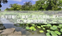 万字详解！“翻车”的元气森林，年入29亿，是如何做到的？