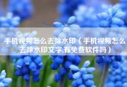 手机视频怎么去除水印（手机视频怎么去除水印文字,有免费软件吗）