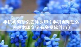 手机视频怎么去除水印（手机视频怎么去除水印文字,有免费软件吗）