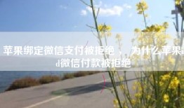 苹果绑定微信支付被拒绝 ， 为什么苹果id微信付款被拒绝