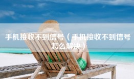 手机接收不到信号（手机接收不到信号怎么解决）