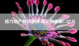 格力地产股价跌停 成交额突破2.1亿元