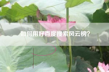 如何用好百度搜索风云榜?
