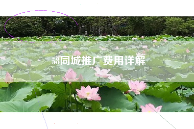 58同城推广费用详解