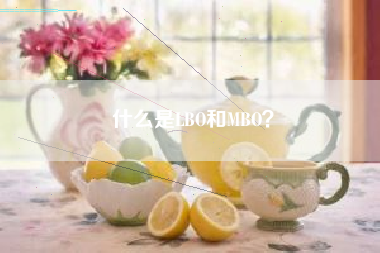 什么是LBO和MBO?