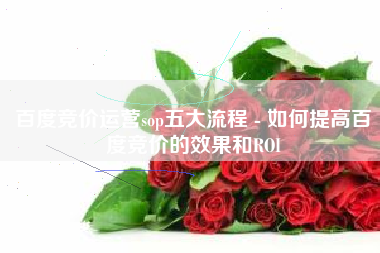 百度竞价运营sop五大流程 - 如何提高百度竞价的效果和ROI
