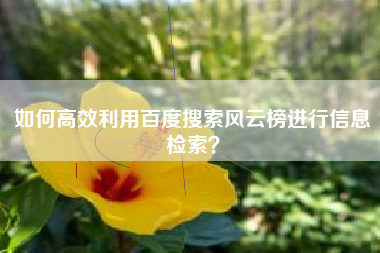 如何高效利用百度搜索风云榜进行信息检索?