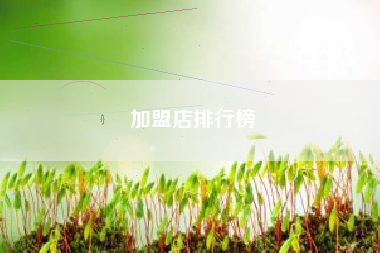 加盟店排行榜