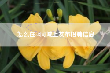 怎么在58同城上发布招聘信息