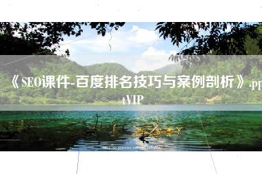 《SEO课件-百度排名技巧与案例剖析》.pptVIP