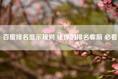 百度排名显示规则 让你的排名靠前 必看
