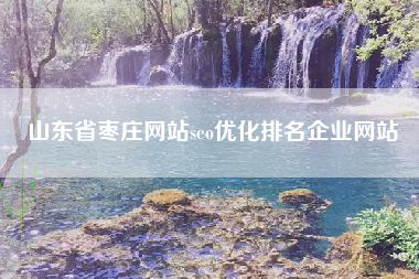 山东省枣庄网站seo优化排名企业网站
