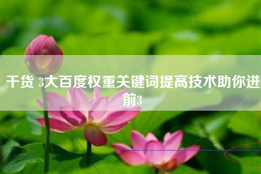 干货 3大百度权重关键词提高技术助你进前3