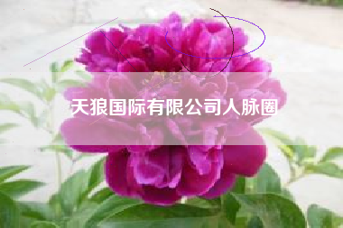天狼国际有限公司人脉圈