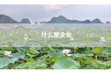 什么是企业